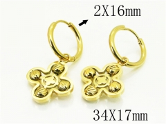 HY Wholesale Earrings 316L Stainless Steel Earrings Jewelry-HY80E0864OV