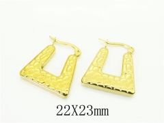 HY Wholesale Earrings 316L Stainless Steel Earrings Jewelry-HY80E0872OV