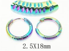 HY Wholesale Earrings 316L Stainless Steel Earrings Jewelry-HY60E1823JI