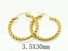 HY Wholesale Earrings 316L Stainless Steel Earrings Jewelry-HY30E1606LL