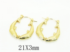 HY Wholesale Earrings 316L Stainless Steel Earrings Jewelry-HY30E1642CJL