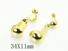 HY Wholesale Earrings 316L Stainless Steel Earrings Jewelry-HY32E0519HKG