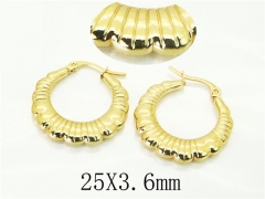 HY Wholesale Earrings 316L Stainless Steel Earrings Jewelry-HY60E1874JLR