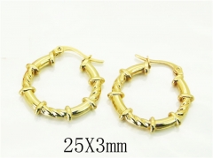 HY Wholesale Earrings 316L Stainless Steel Earrings Jewelry-HY60E1878RJL