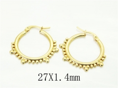 HY Wholesale Earrings 316L Stainless Steel Earrings Jewelry-HY60E1873KL
