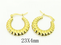 HY Wholesale Earrings 316L Stainless Steel Earrings Jewelry-HY80E0921NE