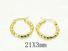 HY Wholesale Earrings 316L Stainless Steel Earrings Jewelry-HY60E1883JX