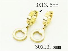 HY Wholesale Earrings 316L Stainless Steel Earrings Jewelry-HY80E0974KG