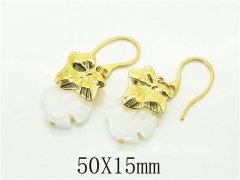 HY Wholesale Earrings 316L Stainless Steel Earrings Jewelry-HY92E0181HLQ