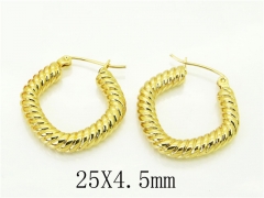 HY Wholesale Earrings 316L Stainless Steel Earrings Jewelry-HY30E1692OG