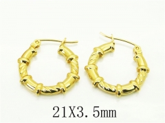 HY Wholesale Earrings 316L Stainless Steel Earrings Jewelry-HY30E1690JL