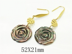 HY Wholesale Earrings 316L Stainless Steel Earrings Jewelry-HY92E0180HLV