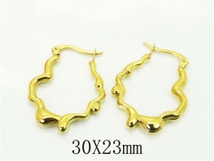 HY Wholesale Earrings 316L Stainless Steel Earrings Jewelry-HY80E0917NL