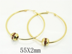 HY Wholesale Earrings 316L Stainless Steel Earrings Jewelry-HY60E1851JQ