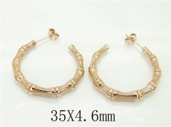 HY Wholesale Earrings 316L Stainless Steel Earrings Jewelry-HY22E0639HJS