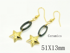 HY Wholesale Earrings 316L Stainless Steel Earrings Jewelry-HY92E0202HID