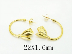 HY Wholesale Earrings 316L Stainless Steel Earrings Jewelry-HY16E0278OW