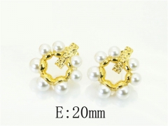 HY Wholesale Earrings 316L Stainless Steel Earrings Jewelry-HY16E0247PQ