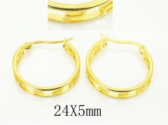 HY Wholesale Earrings 316L Stainless Steel Earrings Jewelry-HY16E0269OE