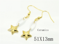 HY Wholesale Earrings 316L Stainless Steel Earrings Jewelry-HY92E0201HIF