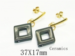 HY Wholesale Earrings 316L Stainless Steel Earrings Jewelry-HY92E0196HIT