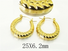 HY Wholesale Earrings 316L Stainless Steel Earrings Jewelry-HY74E0110GOL