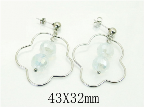 HY Wholesale Earrings 316L Stainless Steel Earrings Jewelry-HY64E0534KG