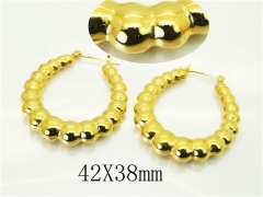 HY Wholesale Earrings 316L Stainless Steel Earrings Jewelry-HY74E0097HHO