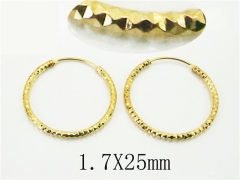 HY Wholesale Earrings 316L Stainless Steel Earrings Jewelry-HY64E0522MZ