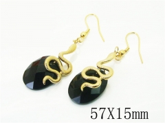 HY Wholesale Earrings 316L Stainless Steel Earrings Jewelry-HY92E0213HLR