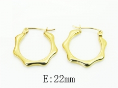 HY Wholesale Earrings 316L Stainless Steel Earrings Jewelry-HY30E1730DJL