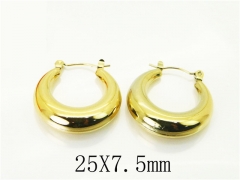 HY Wholesale Earrings 316L Stainless Steel Earrings Jewelry-HY74E0111DOL