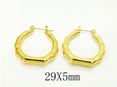 HY Wholesale Earrings 316L Stainless Steel Earrings Jewelry-HY74E0113COL