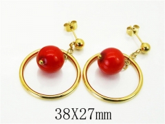HY Wholesale Earrings 316L Stainless Steel Earrings Jewelry-HY64E0528LS