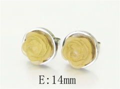 HY Wholesale Earrings 316L Stainless Steel Earrings Jewelry-HY64E0509KG