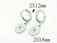 HY Wholesale Earrings 316L Stainless Steel Earrings Jewelry-HY80E1085JE