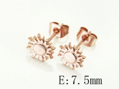 HY Wholesale Earrings 316L Stainless Steel Earrings Jewelry-HY22E0664OR