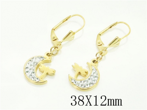 HY Wholesale Earrings 316L Stainless Steel Earrings Jewelry-HY67E0575LL