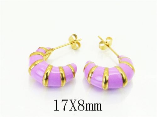 HY Wholesale Earrings 316L Stainless Steel Earrings Jewelry-HY06E0530HHD