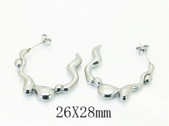 HY Wholesale Earrings 316L Stainless Steel Earrings Jewelry-HY06E0465OT
