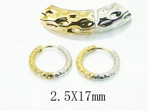 HY Wholesale Earrings 316L Stainless Steel Earrings Jewelry-HY80E1101LQ
