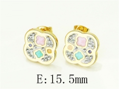 HY Wholesale Earrings 316L Stainless Steel Earrings Jewelry-HY67E0606LE