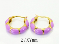 HY Wholesale Earrings 316L Stainless Steel Earrings Jewelry-HY06E0532HIE