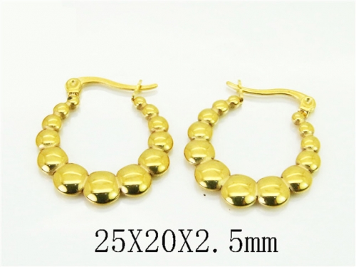 HY Wholesale Earrings 316L Stainless Steel Earrings Jewelry-HY06E0482PV