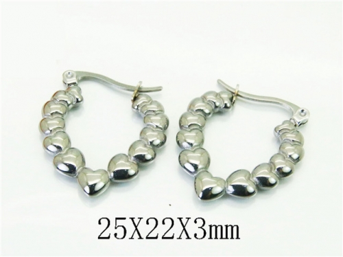 HY Wholesale Earrings 316L Stainless Steel Earrings Jewelry-HY06E0483NC