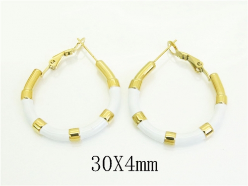 HY Wholesale Earrings 316L Stainless Steel Earrings Jewelry-HY25E0788HNW