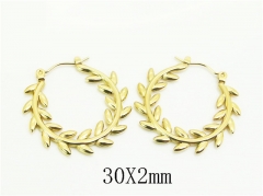 HY Wholesale Earrings 316L Stainless Steel Earrings Jewelry-HY30E1742ML