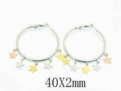 HY Wholesale Earrings 316L Stainless Steel Earrings Jewelry-HY52E0190HQQ