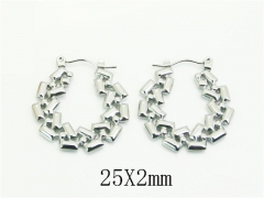 HY Wholesale Earrings 316L Stainless Steel Earrings Jewelry-HY30E1743LS