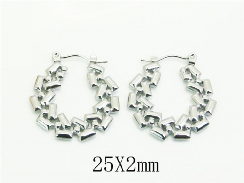 HY Wholesale Earrings 316L Stainless Steel Earrings Jewelry-HY30E1743LS